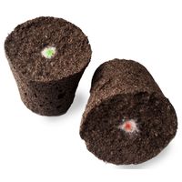  Microgarden Plant Pod - Seed Your Own Plant Pod 